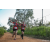Team 86 / Raid Amazones Sri Lanka 2022 - J1 Trail