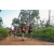 Team 63 / Raid Amazones Sri Lanka 2022 - J1 Trail
