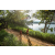 Team 08 / Raid Amazones Sri Lanka 2022 - J1 Trail
