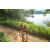 Team 18 / Raid Amazones Sri Lanka 2022 - J1 Trail