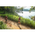 Team 27 / Raid Amazones Sri Lanka 2022 - J1 Trail