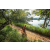 Team 331 / Raid Amazones Sri Lanka 2022 - J1 Trail