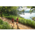 Team 25 / Raid Amazones Sri Lanka 2022 - J1 Trail