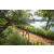 Team 02 / Raid Amazones Sri Lanka 2022 - J1 Trail