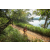 Team 48 / Raid Amazones Sri Lanka 2022 - J1 Trail