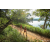 Team 47 / Raid Amazones Sri Lanka 2022 - J1 Trail