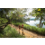 Team 65 / Raid Amazones Sri Lanka 2022 - J1 Trail