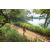 Team 12 / Raid Amazones Sri Lanka 2022 - J1 Trail