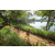 Team 04 / Raid Amazones Sri Lanka 2022 - J1 Trail
