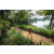 Team 73 / Raid Amazones Sri Lanka 2022 - J1 Trail