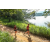 Team 06 / Raid Amazones Sri Lanka 2022 - J1 Trail