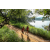 Team 35 / Raid Amazones Sri Lanka 2022 - J1 Trail