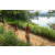 Team 301 / Raid Amazones Sri Lanka 2022 - J1 Trail