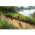 Team 71 / Raid Amazones Sri Lanka 2022 - J1 Trail