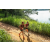 Team 38 / Raid Amazones Sri Lanka 2022 - J1 Trail
