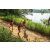 Team 306 / Raid Amazones Sri Lanka 2022 - J1 Trail