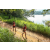 Team 16 / Raid Amazones Sri Lanka 2022 - J1 Trail