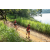 Team 32 / Raid Amazones Sri Lanka 2022 - J1 Trail