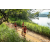Team 320 / Raid Amazones Sri Lanka 2022 - J1 Trail