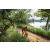Team 333 / Raid Amazones Sri Lanka 2022 - J1 Trail