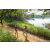 Team 07 / Raid Amazones Sri Lanka 2022 - J1 Trail