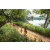 Team 304 / Raid Amazones Sri Lanka 2022 - J1 Trail