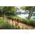 Team 315 / Raid Amazones Sri Lanka 2022 - J1 Trail