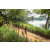 Team 19 / Raid Amazones Sri Lanka 2022 - J1 Trail