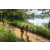 Team 96 / Raid Amazones Sri Lanka 2022 - J1 Trail