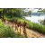 Team 312 / Raid Amazones Sri Lanka 2022 - J1 Trail