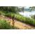 Team 321 / Raid Amazones Sri Lanka 2022 - J1 Trail
