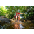 Team 18 / Raid Amazones Sri Lanka 2022 - J1 Trail