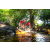 Team 27 / Raid Amazones Sri Lanka 2022 - J1 Trail