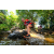 Team 44 / Raid Amazones Sri Lanka 2022 - J1 Trail