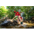 Team 34 / Raid Amazones Sri Lanka 2022 - J1 Trail