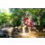 Team 320 / Raid Amazones Sri Lanka 2022 - J1 Trail