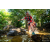 Team 48 / Raid Amazones Sri Lanka 2022 - J1 Trail
