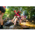 Team 315 / Raid Amazones Sri Lanka 2022 - J1 Trail