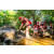 Team 321 / Raid Amazones Sri Lanka 2022 - J1 Trail