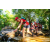 Team 321 / Raid Amazones Sri Lanka 2022 - J1 Trail