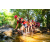 Team 321 / Raid Amazones Sri Lanka 2022 - J1 Trail