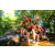 Team 304 / Raid Amazones Sri Lanka 2022 - J1 Trail