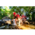Team 65 / Raid Amazones Sri Lanka 2022 - J1 Trail