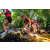 Team 30 / Raid Amazones Sri Lanka 2022 - J1 Trail