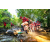 Team 11 / Raid Amazones Sri Lanka 2022 - J1 Trail