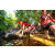 Team 23 / Raid Amazones Sri Lanka 2022 - J1 Trail