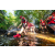 Team 23 / Raid Amazones Sri Lanka 2022 - J1 Trail