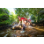 Team 96 / Raid Amazones Sri Lanka 2022 - J1 Trail