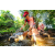 Team 33 / Raid Amazones Sri Lanka 2022 - J1 Trail