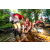 Team 313 / Raid Amazones Sri Lanka 2022 - J1 Trail